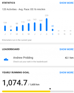My running stats this year